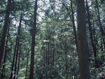 笹野訓薫