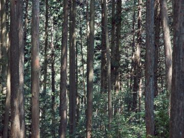 くらしき相談室・ヴォートレコンフィダンテ